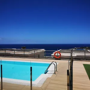 Arara Azul Interior 2 En Patalavaca